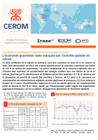 Comptes économiques rapides de la Guyane en 2024